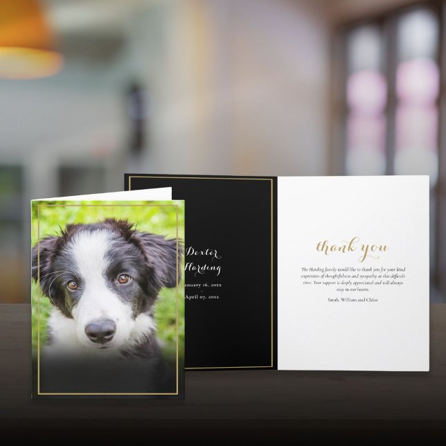 Carte De Remerciements Pet Perdre Sympathie Photo Gold Frame (Pet Loss Sympathy Photo Gold Frame Thank You Card)