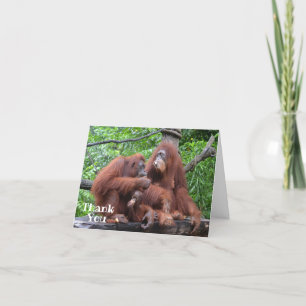 Carte De Remerciements Petit déjeuner avec les Orangutans Drôle