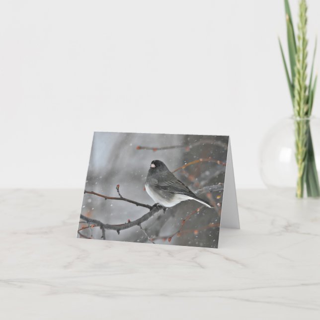 Carte De Remerciements Petit oiseau sur une branche dans la neige blanche (Devant)