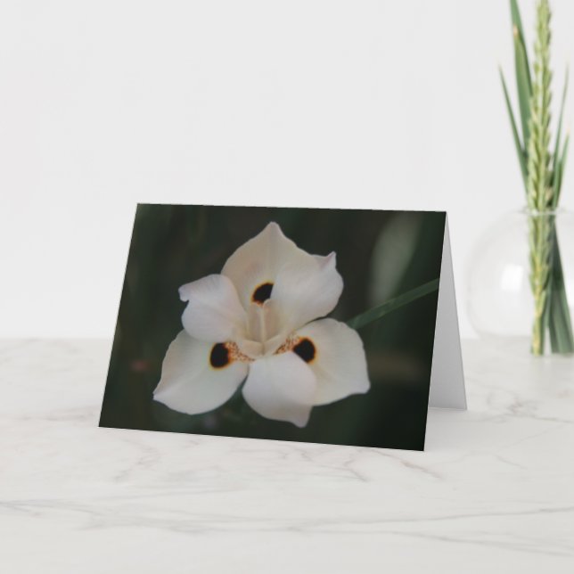 Carte De Remerciements petite fleur (Devant)