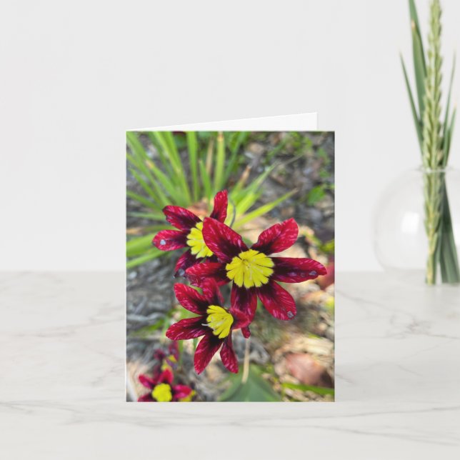 Carte De Remerciements Petites Fleurs (Devant)