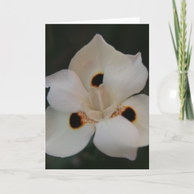 Carte De Remerciements petits pétales de fleurs (Devant)