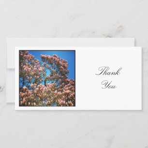 Carte De Remerciements Photo carré - Arbre Magnolia