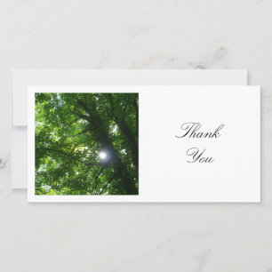 Carte De Remerciements Photo carré - Soleil à travers les arbres