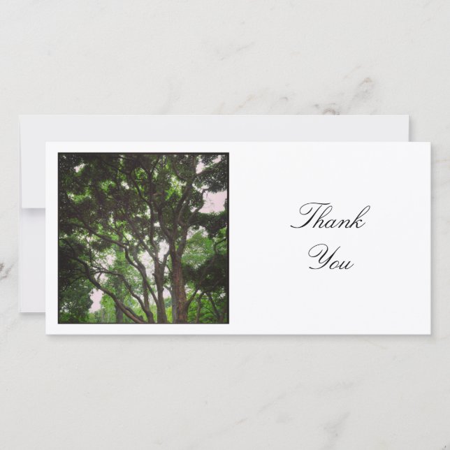 Carte De Remerciements Photo Carrée - Branches (Devant)