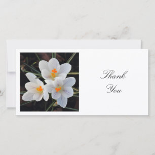Carte De Remerciements Photo Carrée - Crocus Blancs