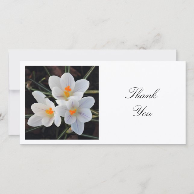 Carte De Remerciements Photo Carrée - Crocus Blancs (Devant)