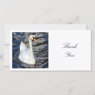Carte De Remerciements Photo Carrée - Cygne