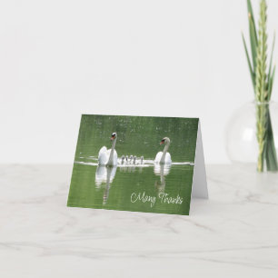 Carte de remerciements photo de la famille Swan