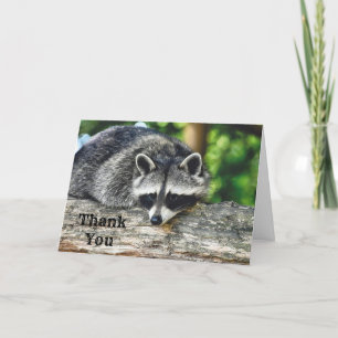 Carte De Remerciements Photo de Mammifère de la faune Raccoon