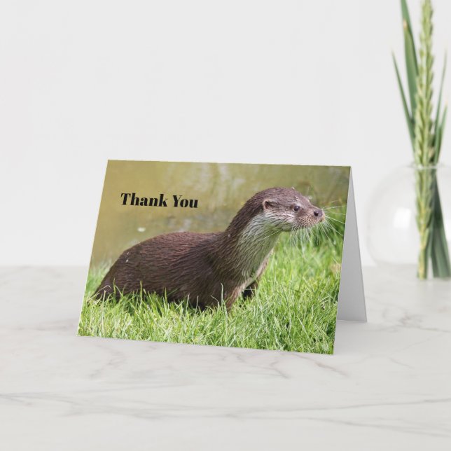 Carte De Remerciements Photo de Otter Grass Wildlife (Devant)