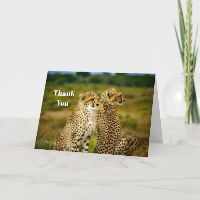 Carte De Remerciements Photo de Wildlife Cheetah (Devant)