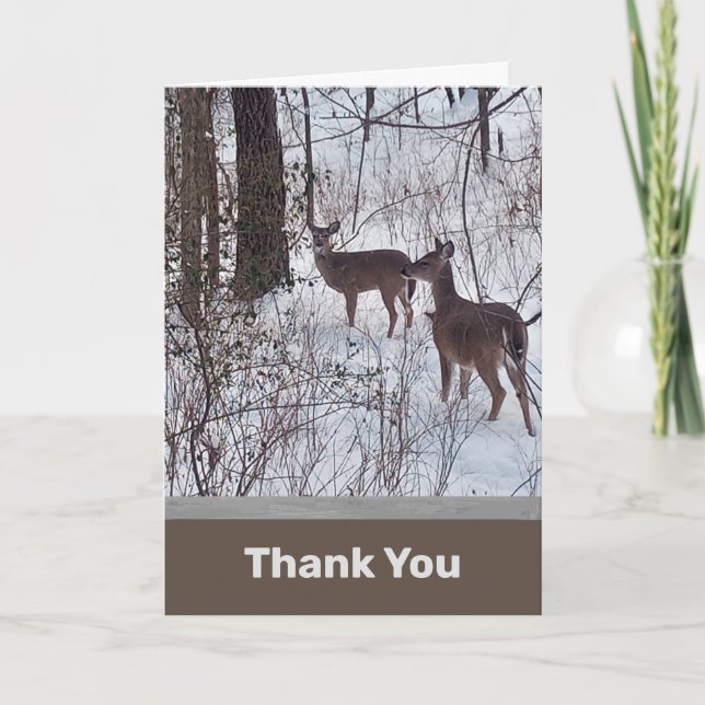 Carte de remerciements photo Deer in Snow (Devant)