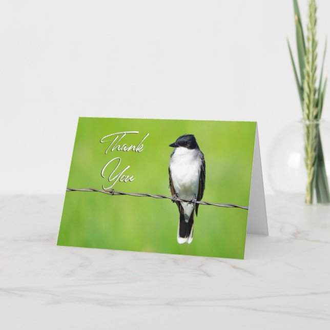 Carte de remerciements photo Eastern King Bird (Devant)