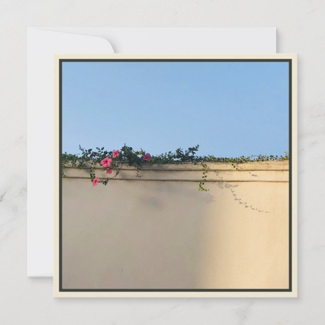 Carte De Remerciements Photo Moment de calme (Devant)