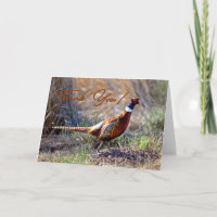 Carte de remerciements photo Pheasant à cou anneau