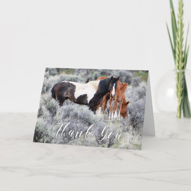 Carte de remerciements photo Wild Mustangs (Devant)