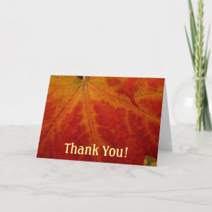 Carte De Remerciements Photographie abstraite de la feuille d'érable roug
