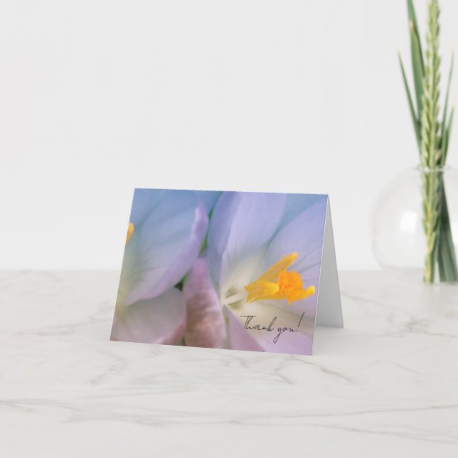 Carte De Remerciements Photographie de Crocus de printemps (Devant)