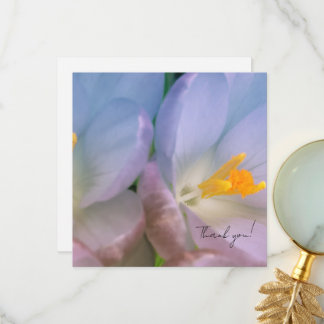 Carte De Remerciements Photographie de crocus de printemps