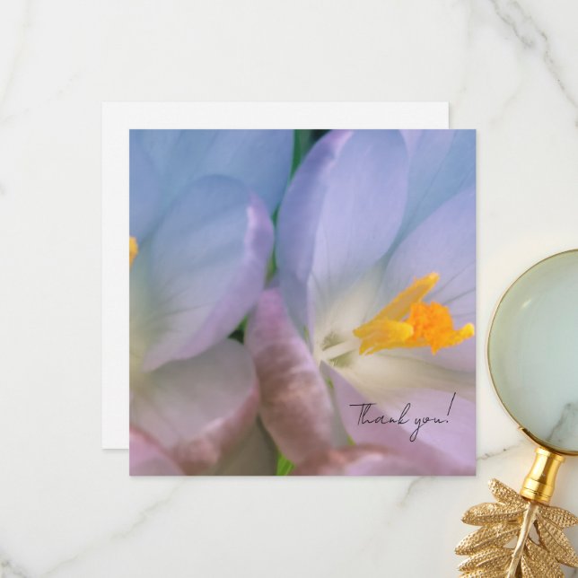 Carte De Remerciements Photographie de crocus de printemps (Devant/Arrière en situation)