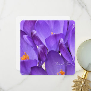 Carte De Remerciements Photographie de fleurs de crocus de printemps