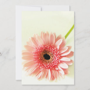 Carte De Remerciements Photographie de gerbera rose frais