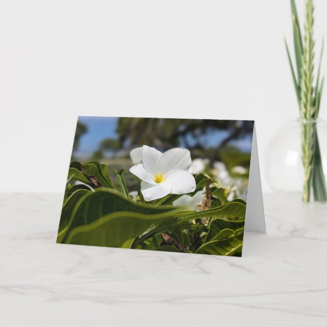 Carte De Remerciements Photographie de paysage naturel hawaïen (Devant)