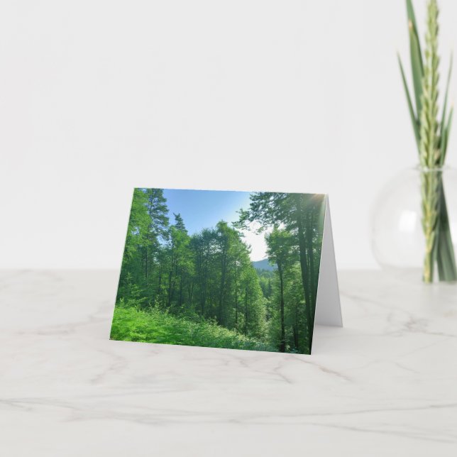 Carte De Remerciements Photographie du paysage de la forêt verte (Devant)