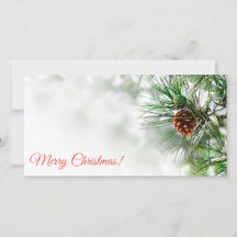 Pin couvert de neige