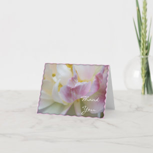 Carte De Remerciements Pink and White Tulip Flower Blossom Thank You