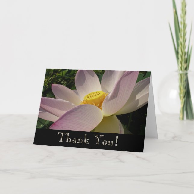 Carte De Remerciements Pink Lotus Flower III Summer Floral (Devant)