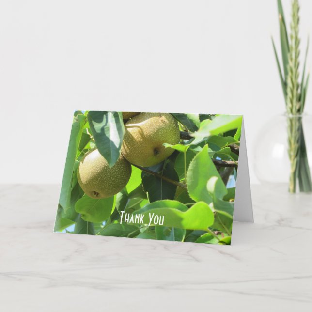 Carte De Remerciements Pires été (Devant)