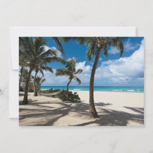 Carte De Remerciements Plages tropicales   Anguilla Beach, Palm Tree