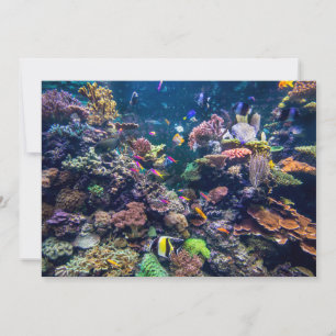 Carte De Remerciements Plages tropicales Corail sous-marin Reef