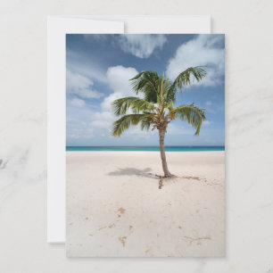 Carte De Remerciements Plages tropicales   Eagle Beach, Aruba
