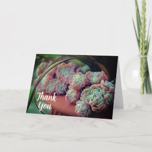 Carte De Remerciements Plante à pointes Succulent Rose Echeveria
