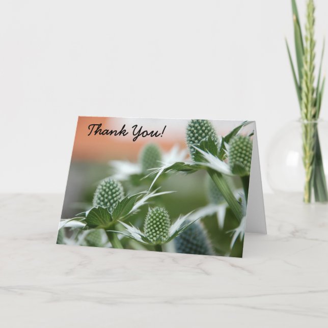 Carte de remerciements Plante cool (Devant)