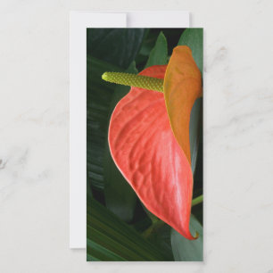 Carte De Remerciements Plante de l'anthurium rouge contre le feuillage