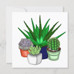 Carte De Remerciements Plantes de maison   Succulents