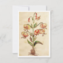 carte de remerciements plat 3,5 po x 5 po