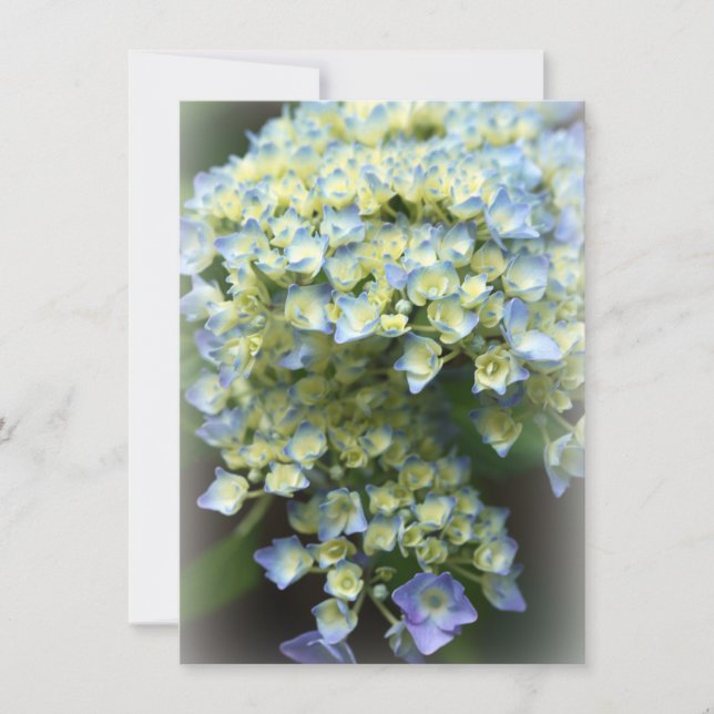 Carte de remerciements plat à fleurs bleues (Devant)