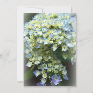 Carte de remerciements plat à fleurs bleues