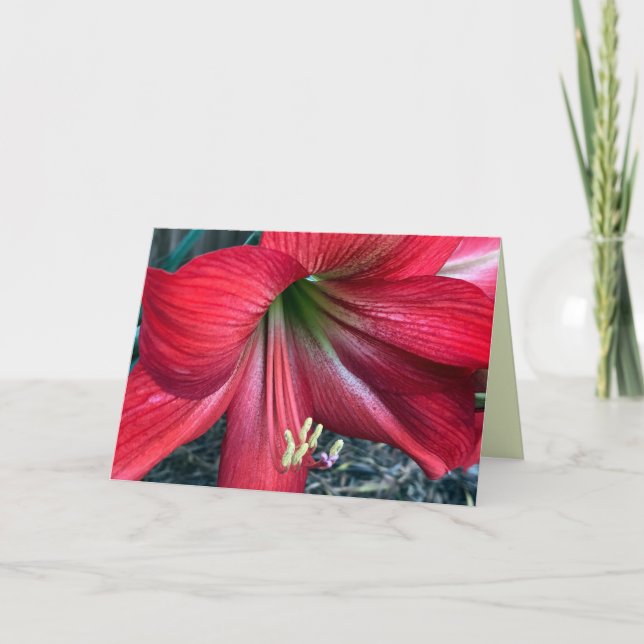 Carte de remerciements pliée (Devant)