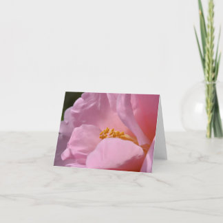 Carte de remerciements pliée en Camellia rose