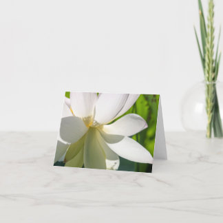 Carte de remerciements pliée en lotus blanc