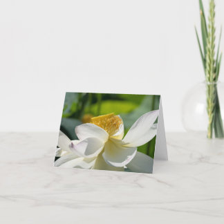 Carte de remerciements pliée en lotus blanc