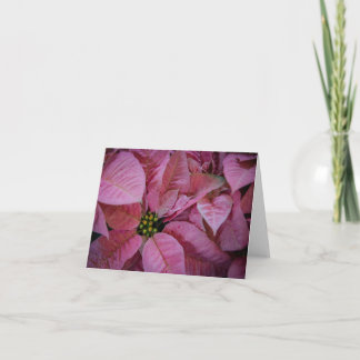 Carte De Remerciements Poinsettia (2)