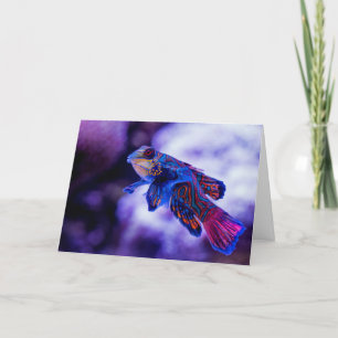 Carte De Remerciements Poisson Mandarin Goby