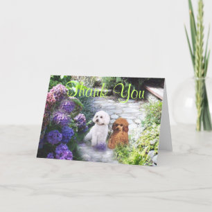 Carte De Remerciements Poodle thank You Card Hydrangeas